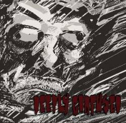 Deeply Confused : Deeply Confused Demo Deeply Confused : Deeply Confused Demo